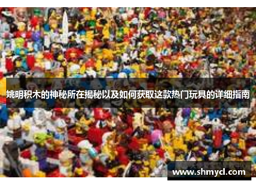 姚明积木的神秘所在揭秘以及如何获取这款热门玩具的详细指南