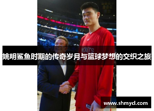 姚明鲨鱼时期的传奇岁月与篮球梦想的交织之旅
