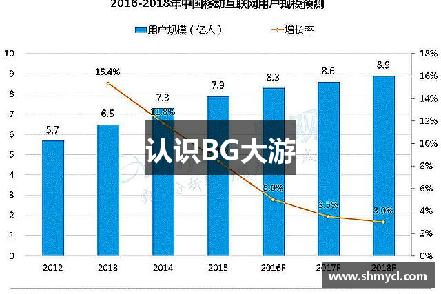 认识BG大游
